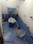 Bathroom Image of Flat on sharing basis for working men in Alkapuri, Vadodara