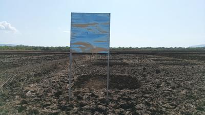 Nagaon Plot View 1