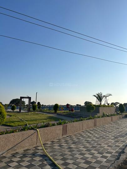 Paliya Haidar Main Image 1