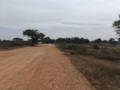 Kothur Plot View 2