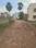 Dharitri New Royal Enclave Internal Roads 1