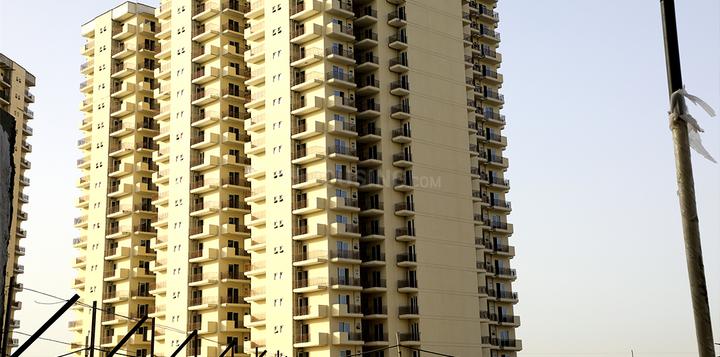 Signature Global The Roselia Main Image 1