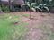 Keralarealty Main Image 1