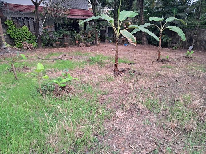 Keralarealty Main Image 1