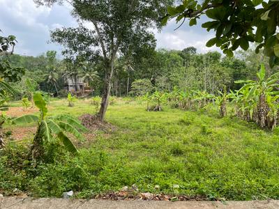 Agricultural Land