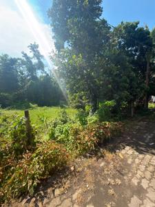 dharapur guwahati Plot View 1