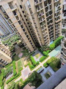 Image of 1230 Sq.ft 2 BHK Apartment / Flat for rent in Strategic Royal Court, Noida Extension, Greater Noida for Rs. 21000