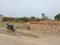 Ayushi Avenue Main Image 1