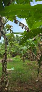 Image of 4356 Sq.ft Residential Plot / Land for sale in Malaparamba, Kozhikode for Rs. 14500000