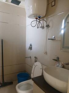 Common Bathroom Image of 640 Sq.ft 3 BHK Apartment / Flat for sale in ROF Aalayas Phase 2, Sector 102 Gurgaon for Rs. 9250000