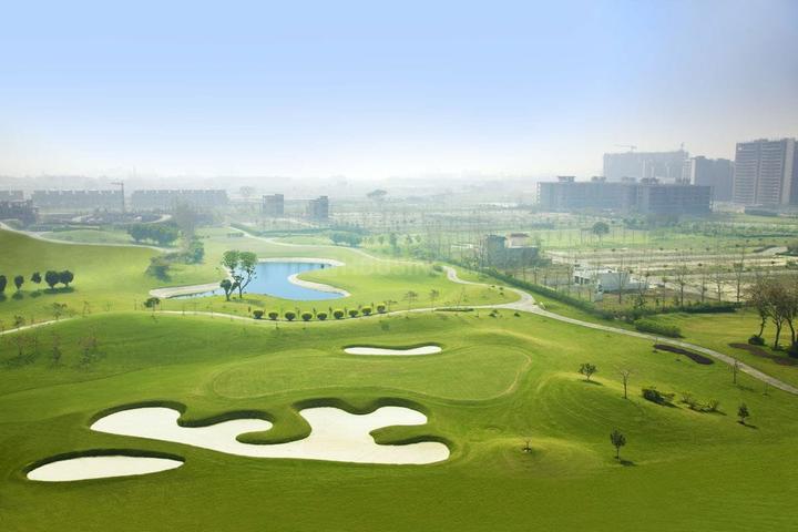 Jaypee greens Golf plot  Main Image 1