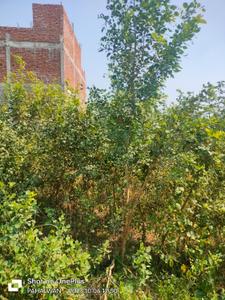 Image of 1800 Sq.ft Residential Plot / Land for sale in Rohta, Agra for Rs. 4600000
