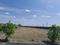 Ambedkar Colony, Ongole Plot View 2
