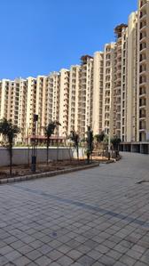 Image of 1150 Sq.ft 3 BHK Apartment / Flat for sale in The Address, Sector 17, Chandigarh for Rs. 7800006