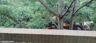 Balcony Image of 4500 Sq.ft 4 BHK Builder Floor for sale in Panchsheel Park New Delhi for Rs. 100500000