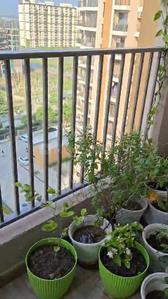 Balcony Image of 1272 Sq.ft 2 BHK Apartment / Flat for sale in Kiara Residency, Sushant Golf City Lucknow for Rs. 10000000