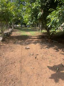 Image of 35000 Sq.ft Residential Plot / Land for sale in Mala, Thrissur for Rs. 9900000