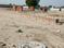 Kings Paradise Residential Plots Main Image 1