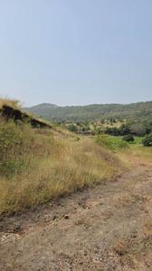 Image of 11000 Sq.ft Residential Plot / Land for sale in Harishchandri, Pune for Rs. 1700000