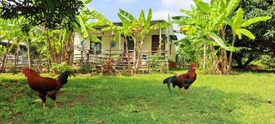 Image of 5717 Sq.ft Residential Plot / Land for sale in Channapatna, Bengaluru for Rs. 3000000