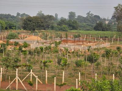 Image of 6000 Sq.ft Residential Plot / Land for sale in Paridhi Nidhivan Farm, Tatibandh, Raipur for Rs. 2850000