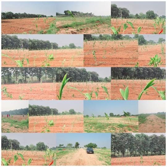 Police Colony, Kondapur Main Image 1