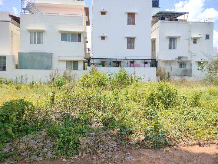 Green Cascade Main Image 1