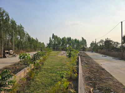 Residential Plot
