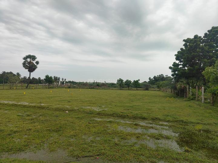 Livehomes Main Image 1