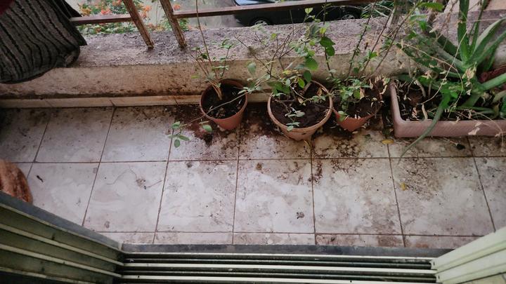 Brahmraj Arcade Sector 20 Bedroom 1