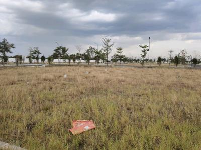 Residential Plot