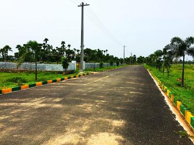 NSR Amaravathi Plot View 2