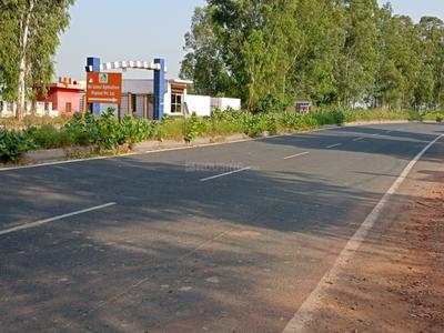 Image of 900 Sq.ft Residential Plot / Land for sale in Tappal, Aligarh for Rs. 2000000