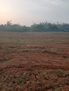 Image of 1200 Sq.ft Residential Plot / Land for sale in Trisulia, Cuttack for Rs. 840000