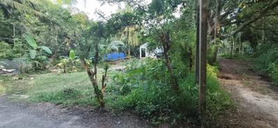 Image of 1500 Sq.ft 1 RK Independent House for sale in Aryad South, Alappuzha for Rs. 4200000