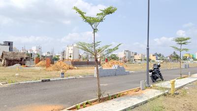Residential Plot
