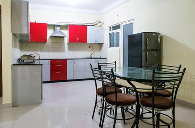 Hall Image of D704-Concorde Manhattan in Electronic City, Bengaluru