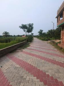 Nest Valley Internal Roads 2