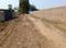 Society  Plot View 2