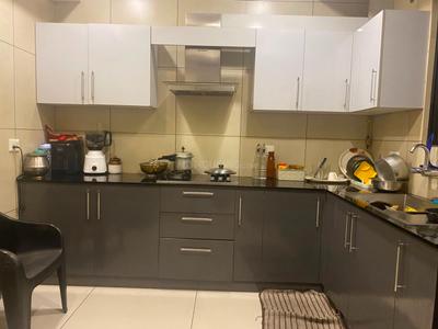 Kitchen Image of 1377 Sq.ft 3 BHK Apartment / Flat for sale in SFS Center Cove, Kaloor Kochi for Rs. 12500000
