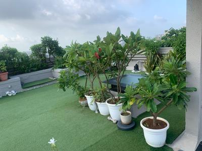 Image of 1972 Sq.ft 3 BHK Penthouse for sale in Goyal Orchid Whitefield, Makarba, Ahmedabad for Rs. 21500000