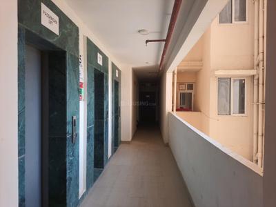Main Entrance Image of 750 Sq.ft 3 BHK Apartment / Flat for sale in Signature Global Golf Green by Signature Global, Sector 79 Gurgaon for Rs. 7200000