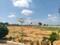 Tukkuguda Plot View 1
