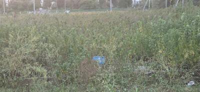 Image of 2100 Sq.ft Residential Plot / Land for sale in Lalitaddripura, Mysore for Rs. 10815000