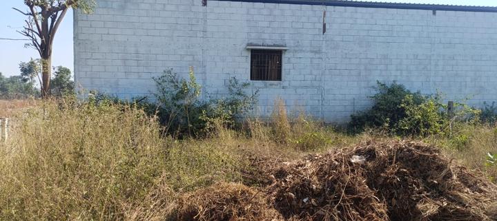 Kammasandra Main Image 1