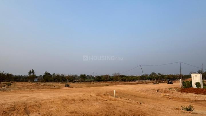 PRIME PLOTS Main Image 1