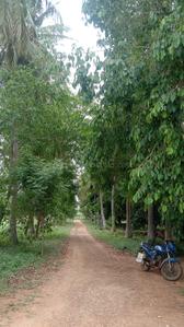 Image of 99999 Sq.ft Residential Plot / Land for sale in Kalayarkoil, Sivaganga for Rs. 300000000