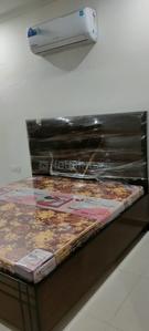 Bedroom Image of 1250 Sq.ft 3 BHK Apartment / Flat for rent in DD Altura, Gazipur Zirakpur for Rs. 52000