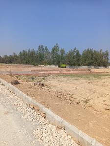 Image of 1001 Sq.ft Residential Plot / Land for sale in Amethi, Lucknow for Rs. 1900000