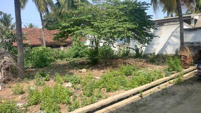 Image of 1206 Sq.ft Residential Plot / Land for sale in Panduru, Kakinada for Rs. 1200000